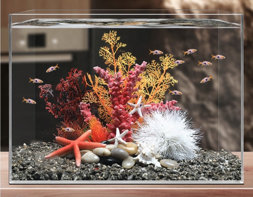 Hot Sale Aquarium Aquascape Co - Aquarium Plants For Sale reseña y precio
