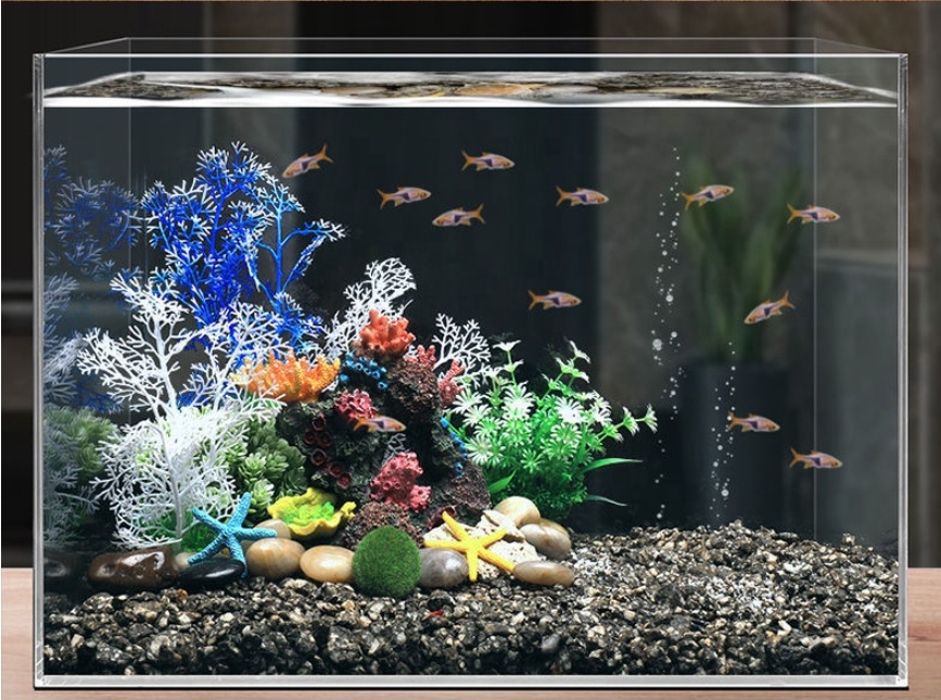Hot Sale Aquarium Aquascape Co - Aquarium Plants For Sale reseña y precio