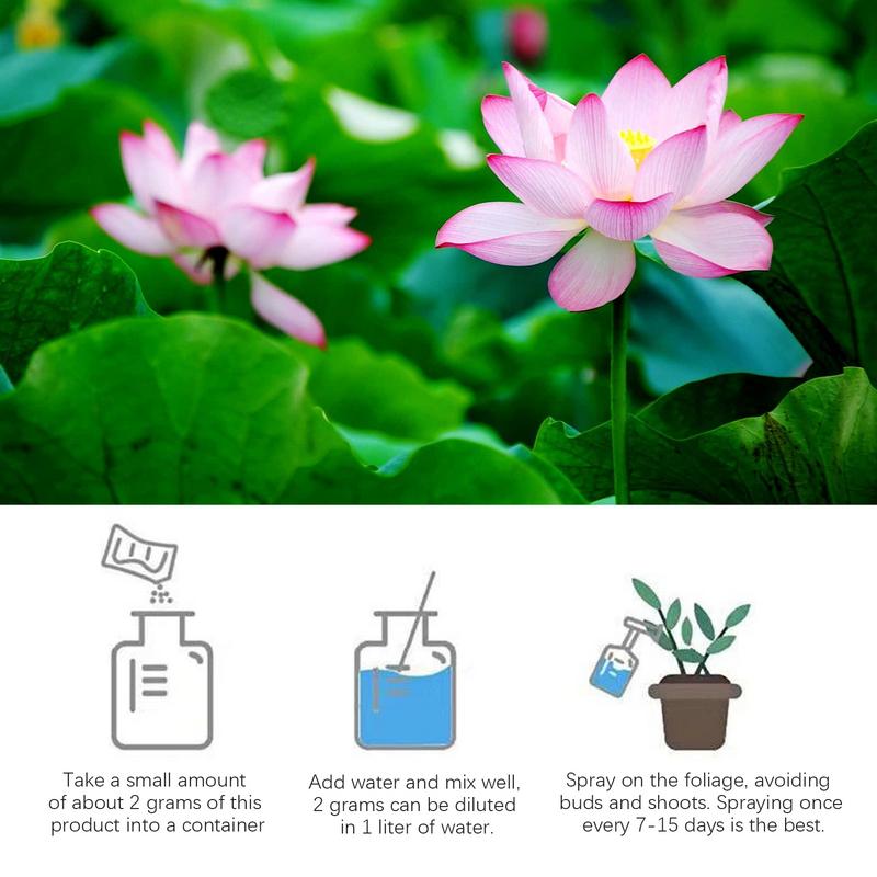 200g Natural Water Lily Flower - Aquarium Plant Vitamins reseña y precio
