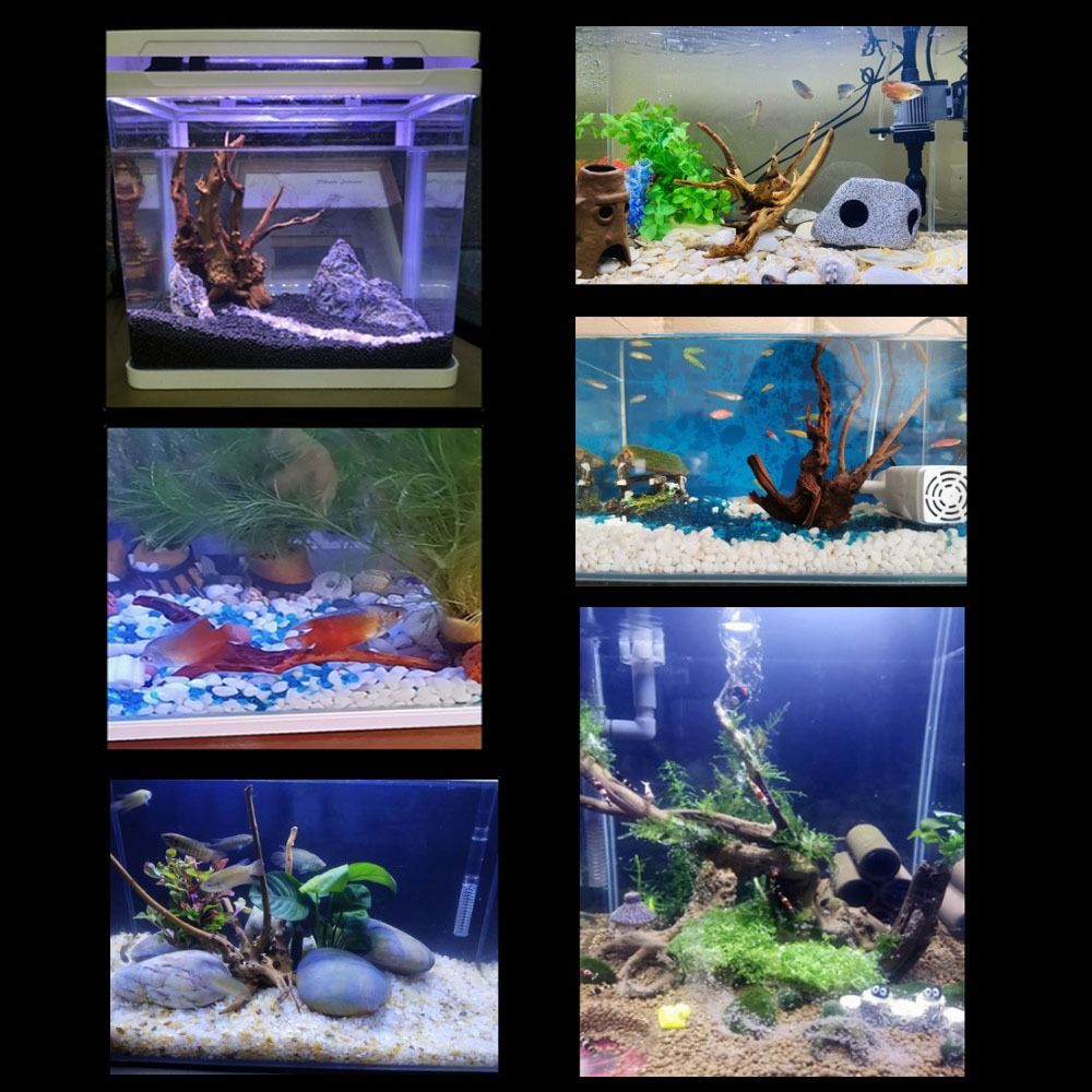 20-25CM Large Aquarium Driftwo - Planted Aquarium Bowl reseña y precio