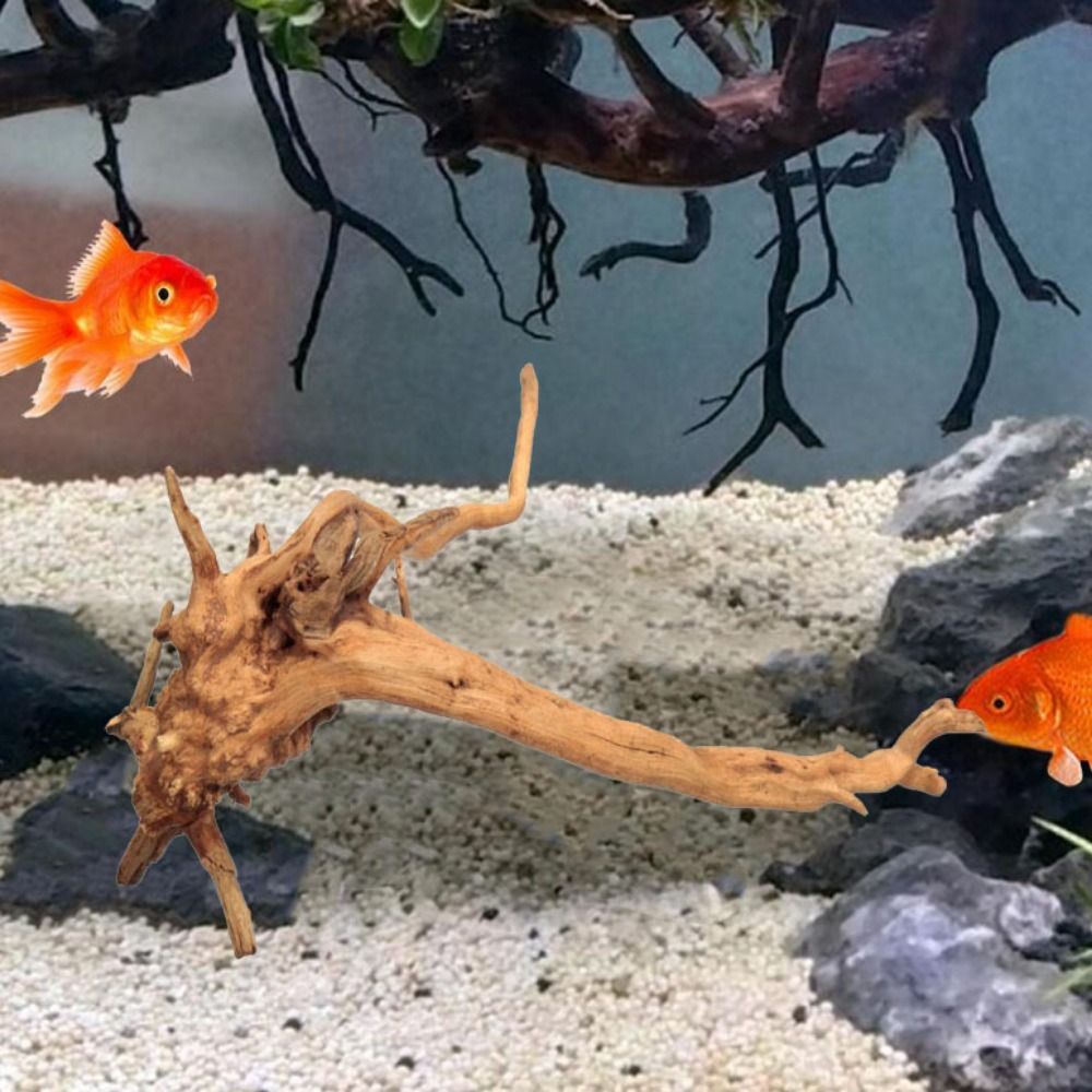 20-25CM Large Aquarium Driftwo - Planted Aquarium Bowl reseña y precio