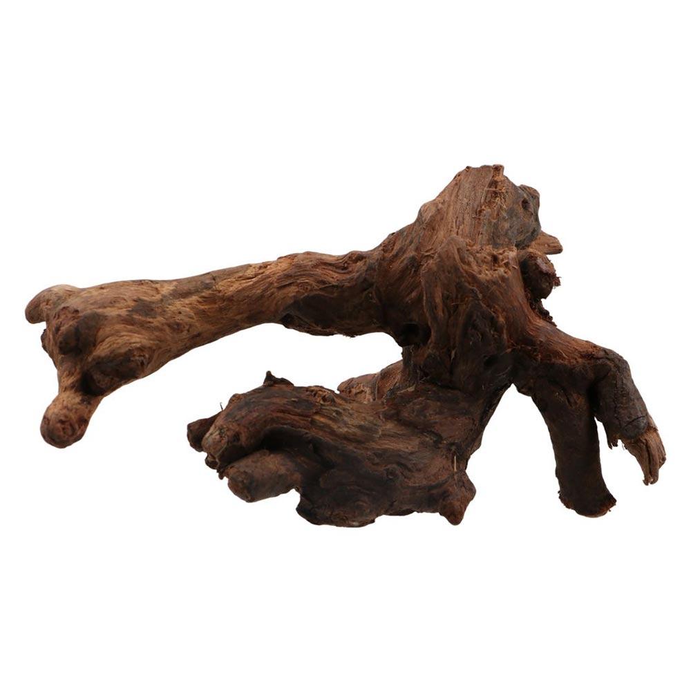Creative Irregular Shape Coral - Aquarium Planted Substrate reseña y precio