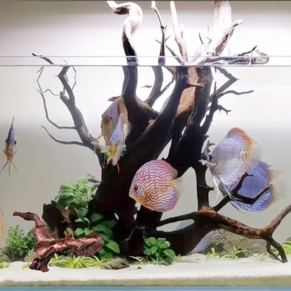 Creative Irregular Shape Coral - Aquarium Planted Substrate reseña y precio