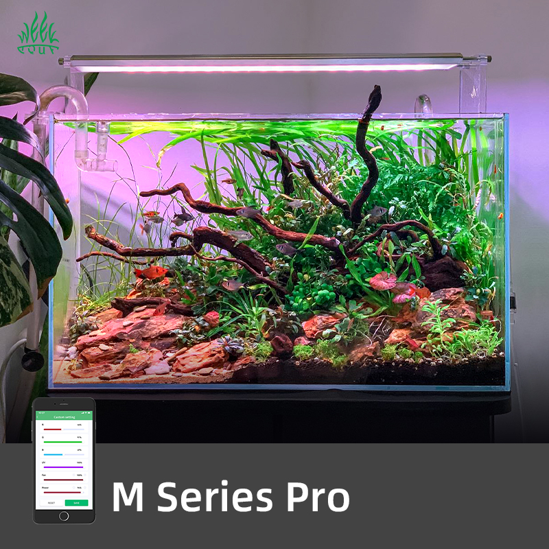 ZXY Hot Sales WEEK AQUA M1200P - Aquarium Plants For Sale reseña y precio