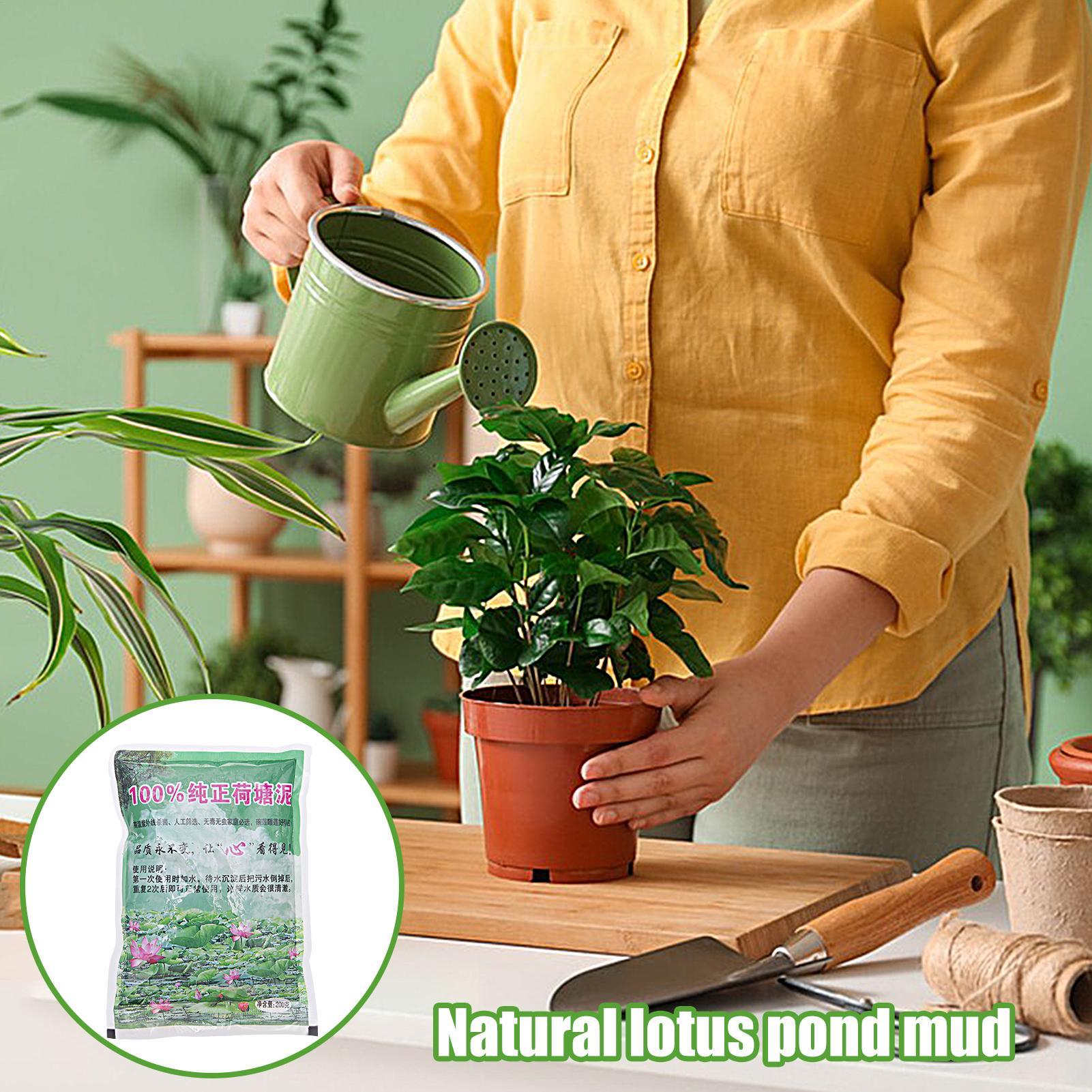 200g/bag Aquarium Soil Natural - Aquarium Plant Vitamins reseña y precio