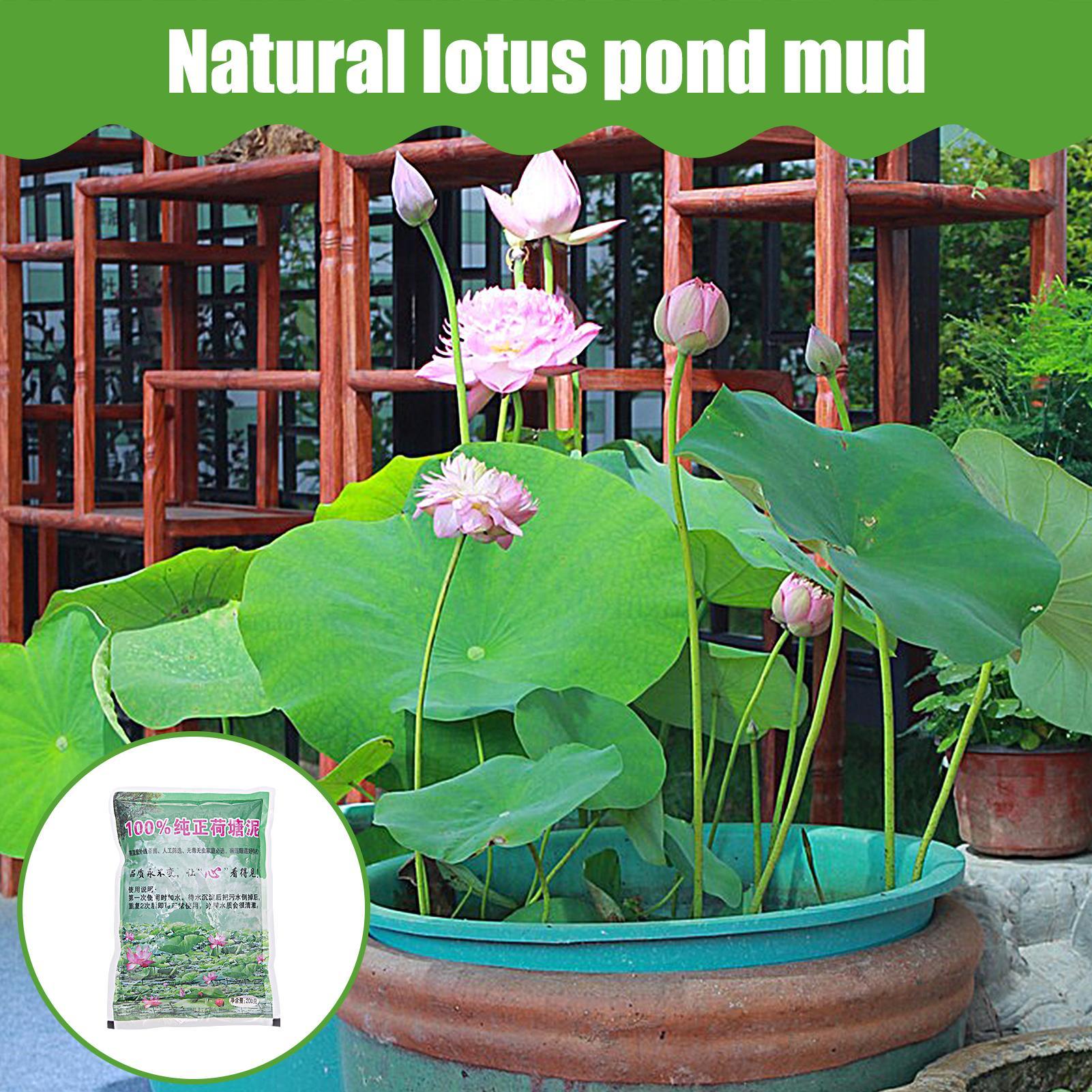 200g/bag Aquarium Soil Natural - Aquarium Plant Vitamins reseña y precio
