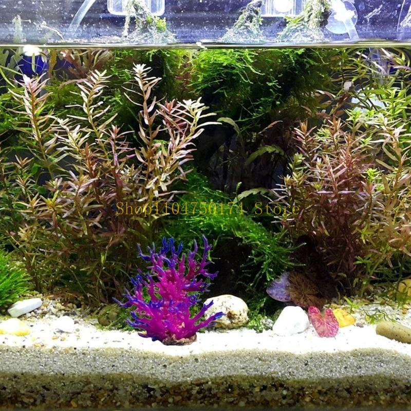 Artificial Water Plant Aquariu - Aquarium Plants For Sale reseña y precio