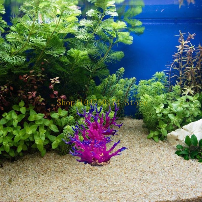 Artificial Water Plant Aquariu - Aquarium Plants For Sale reseña y precio