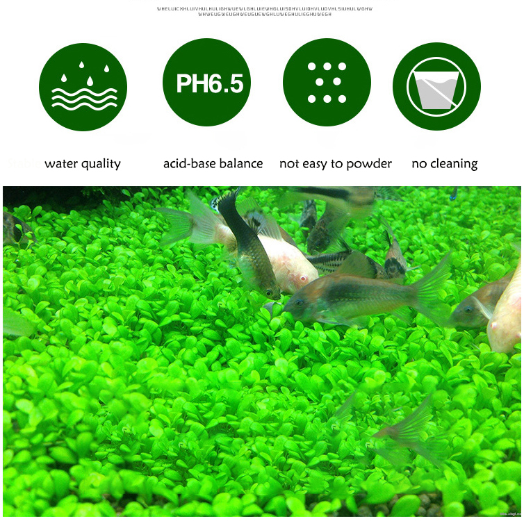 Aquarium Plant Seeds Soil Fish - Aquarium Planted Substrate reseña y precio