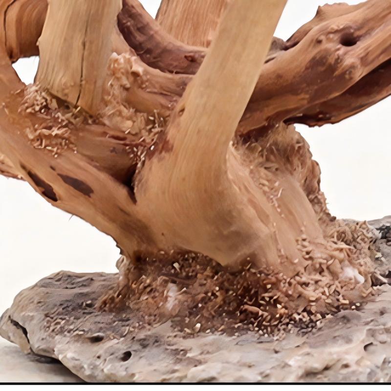 1PC Aquarium Landscaping Wood  - Aquarium Plant Guide reseña y precio