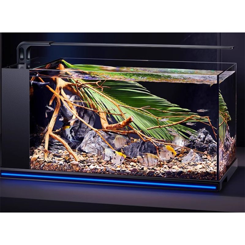 New Product Wholesale Fish and - Planted Aquarium Bowl reseña y precio