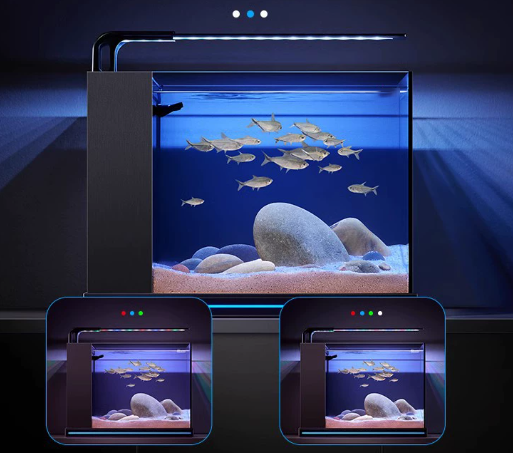 New Product Wholesale Fish and - Planted Aquarium Bowl reseña y precio
