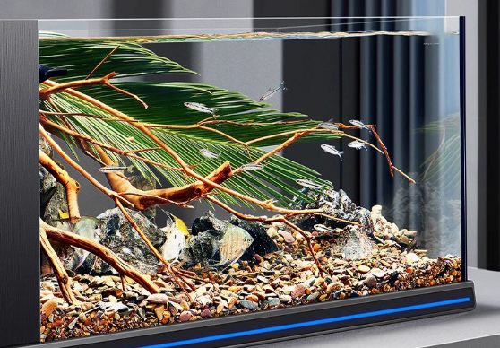 New Product Wholesale Fish and - Planted Aquarium Bowl reseña y precio