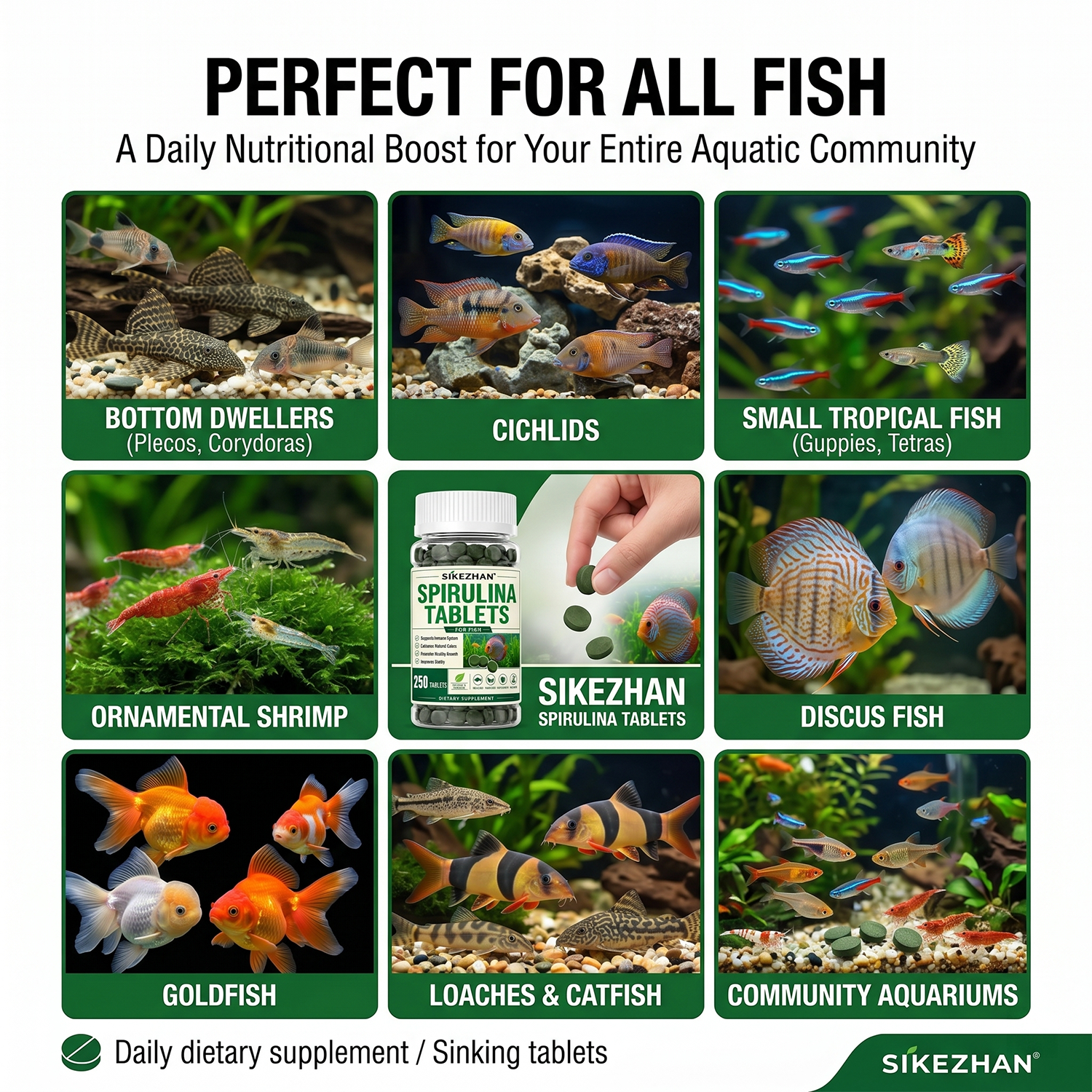 3 Bottles Spirulina Tablets Aq - Aquarium Plant Vitamins reseña y precio