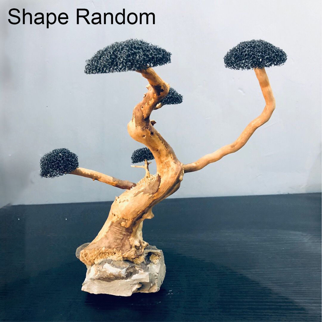 Aquarium Decoration Moss Drift - Aquarium Plant Guide reseña y precio