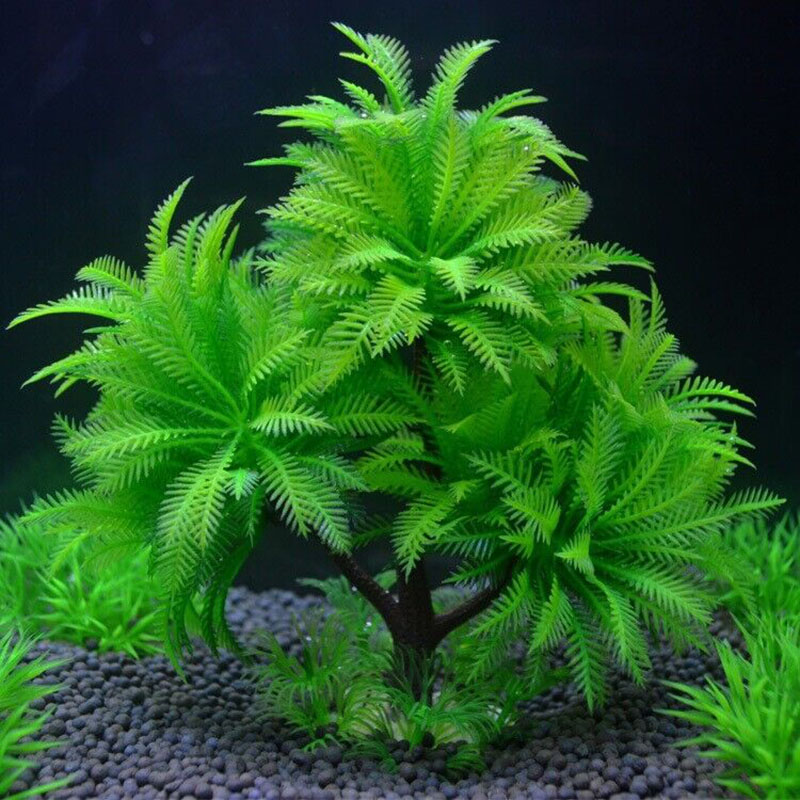 Aquarium Decorative Simulation - Aquarium Plant Guide reseña y precio