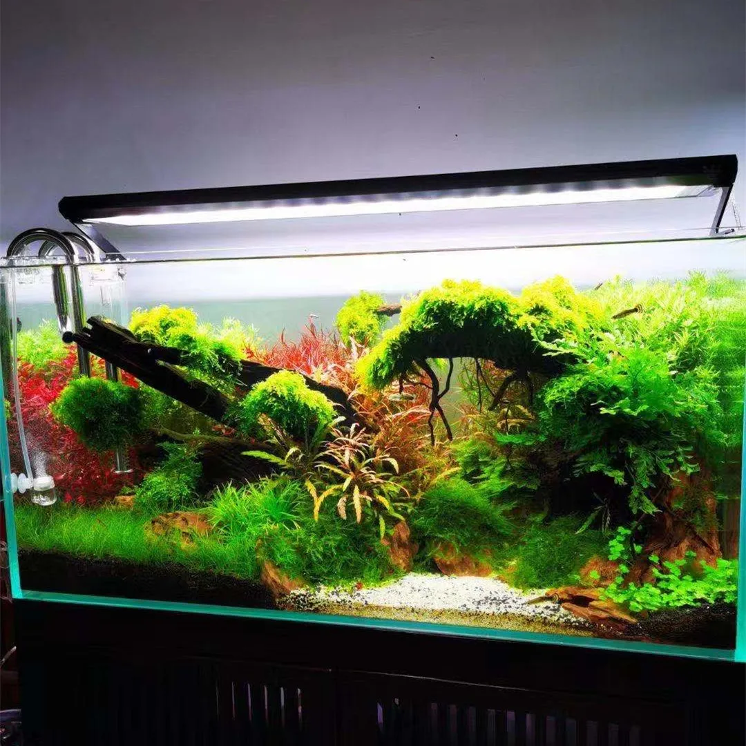 WEEK AQUA P Series Aquarium Fu - Aquarium Plant On Top reseña y precio