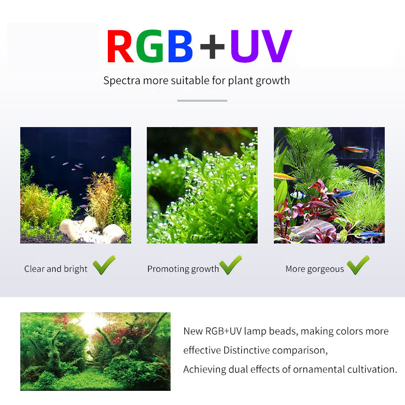 WEEK AQUA P Series Aquarium Fu - Aquarium Plant On Top reseña y precio