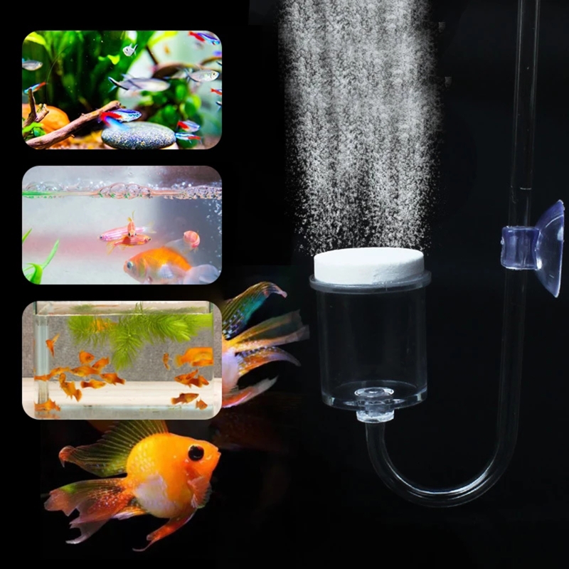 4pcs Set DIY CO2 Diffuser For  - Planted Aquarium Media reseña y precio