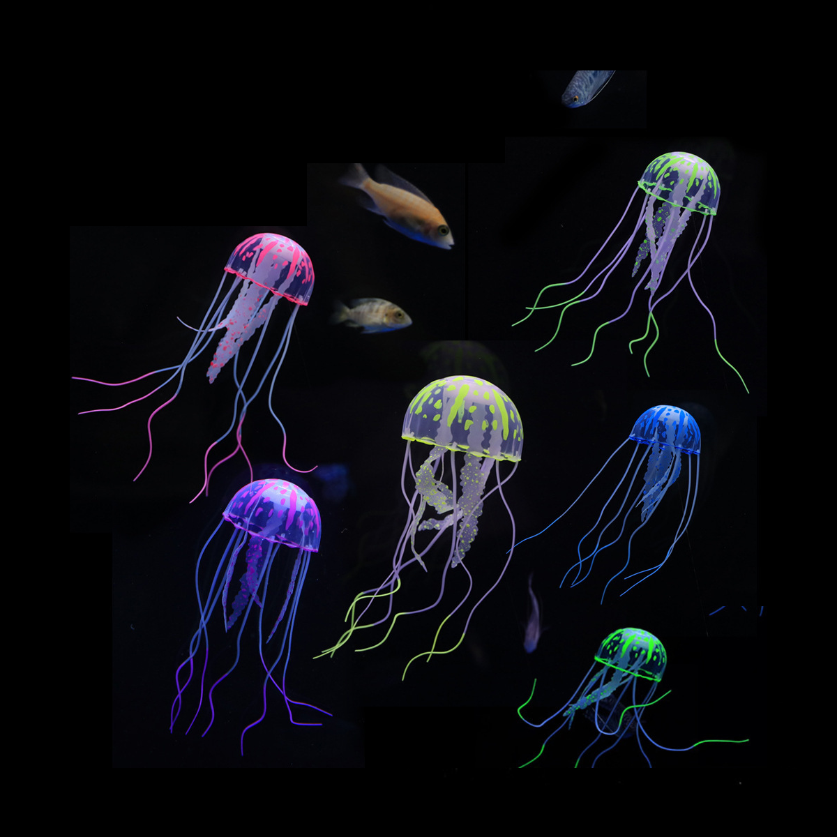 1 Pc Coral Moon Jellyfish Aqua - Aquarium Plant Glue reseña y precio